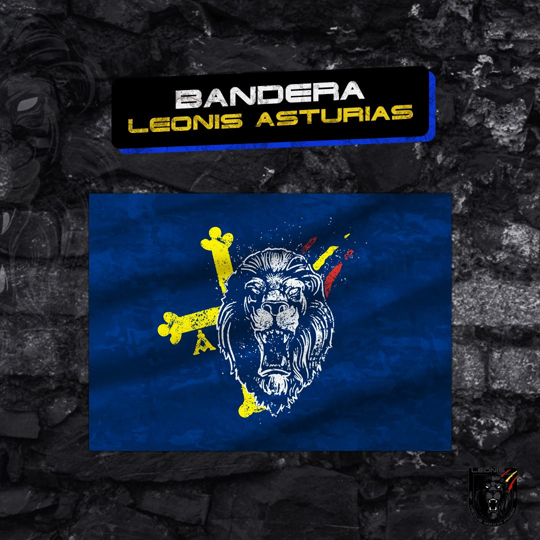 BANDERA DE TELA LEONIS ASTURIAS