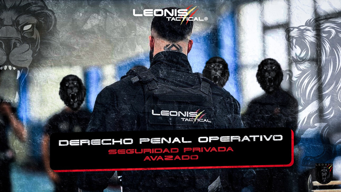 DERECHO PENAL OPERATIVO SEGURIDAD PRIVADA (AVANZADO)